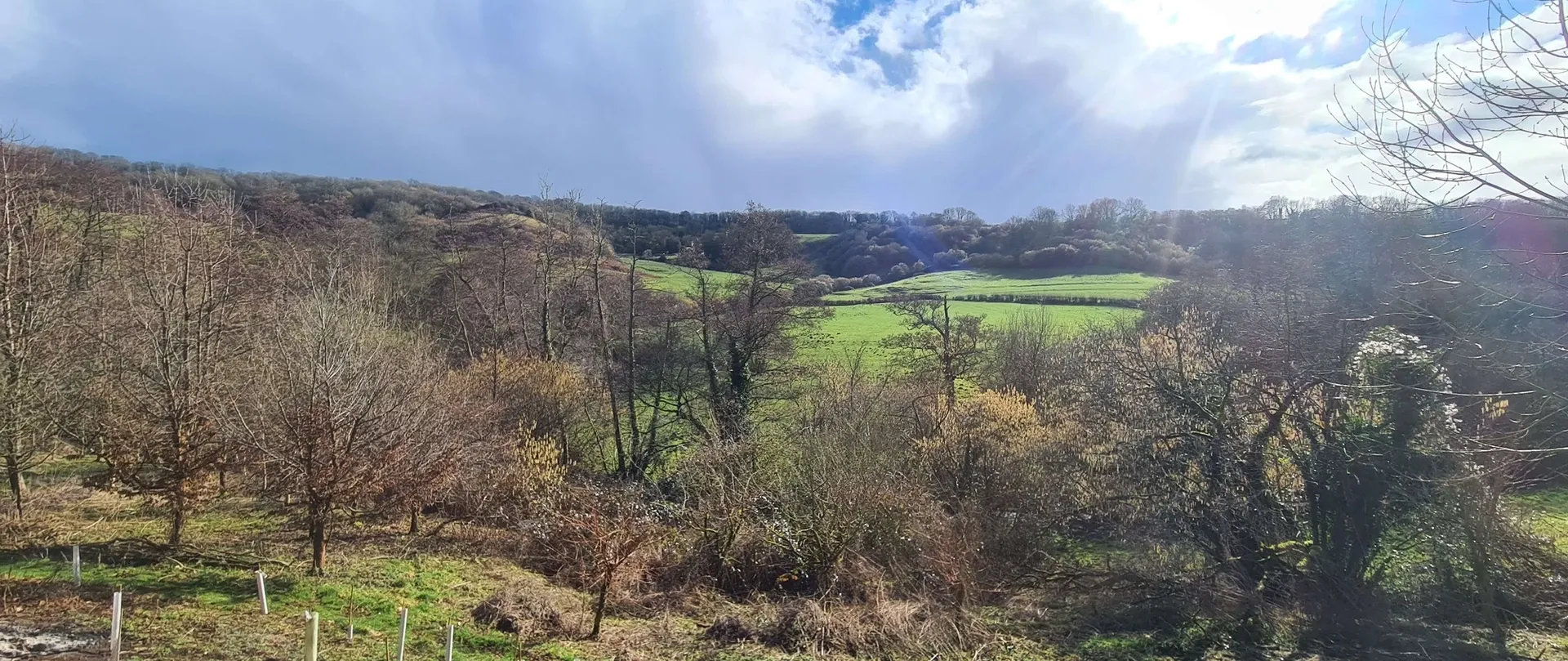 Spring...so close, you can smell it